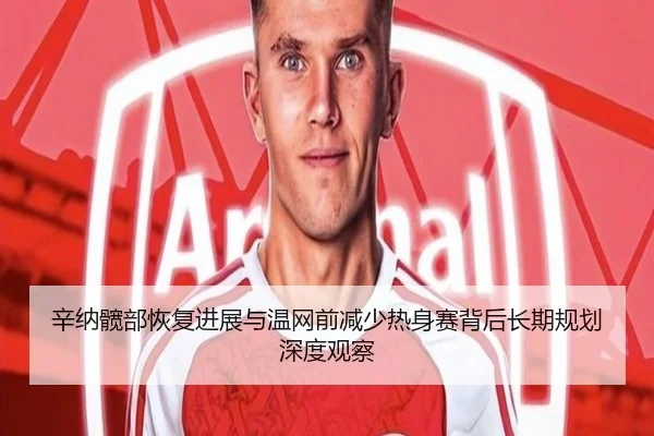 辛纳髋部恢复进展与温网前减少热身赛背后长期规划深度观察